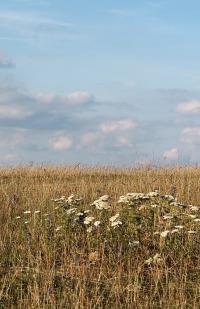 Informe Hidroclimatolgico primera quincena de septiembre 2024